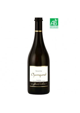 Chasselas Champanel blanc 75 cl 2023