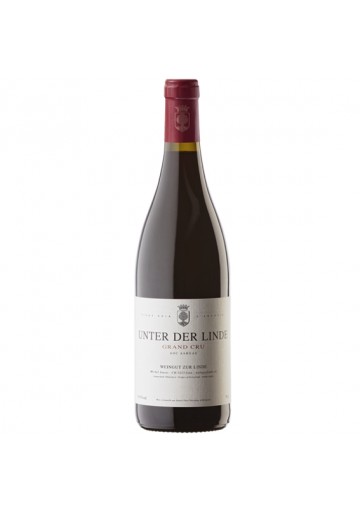 Pinot Noir 2023 rouge - Weingut Unter der Linde