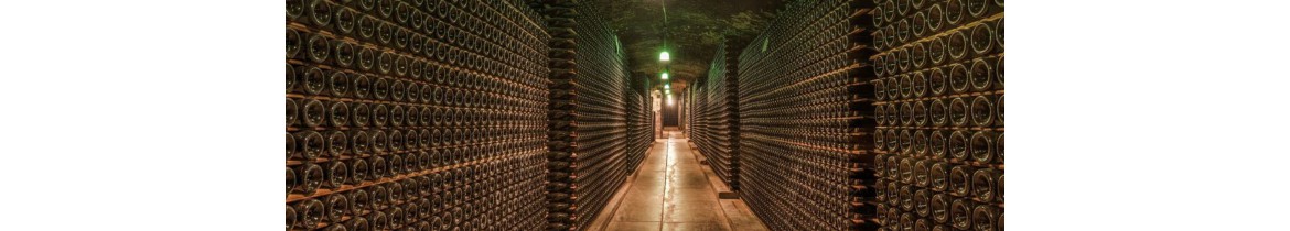 Le coin des bonnes affaires